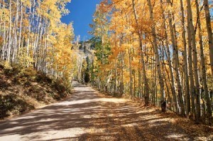 The Road Home by patrick E. craig