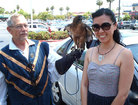 hawk