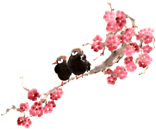 funnybirds3a