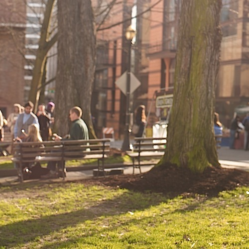 PDX Market CF011227.jpg