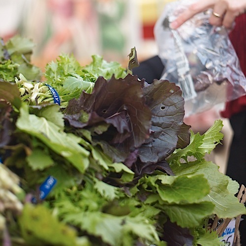 PDX Market CF011216.jpg