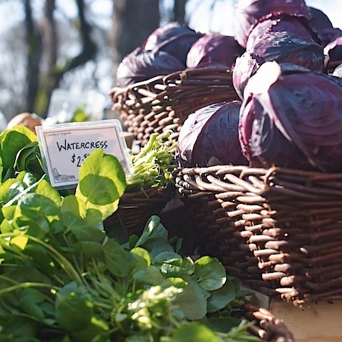 PDX Market CF011199 1.jpg