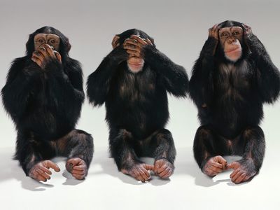 See-no-evil-hear-no-evil-speak-no-evil-monkeys-14750406-1600-1200
