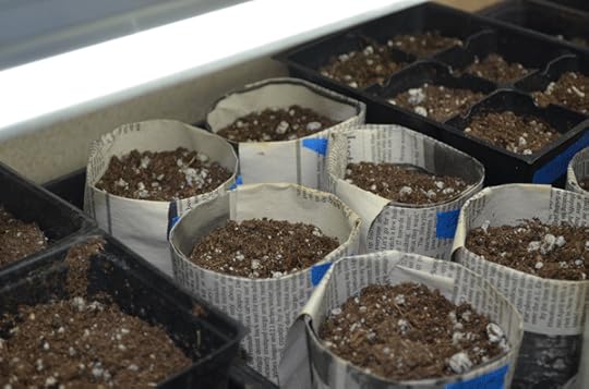 seed-pots