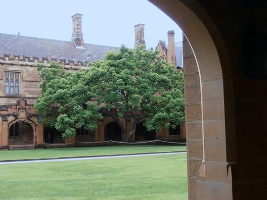 Jacaranda tree, Main Quadrangle