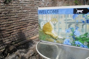 rsz_img_1010