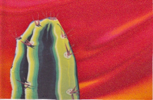 Polyester fabric, ink on paper.