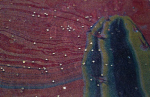 Ink on paper (cactus), marbled paper, dark blue fabric with sparkles.