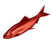 Beware the red herring!