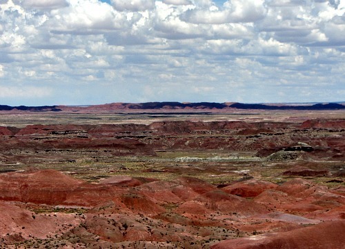 Painted Desert 1 - Carol Cox