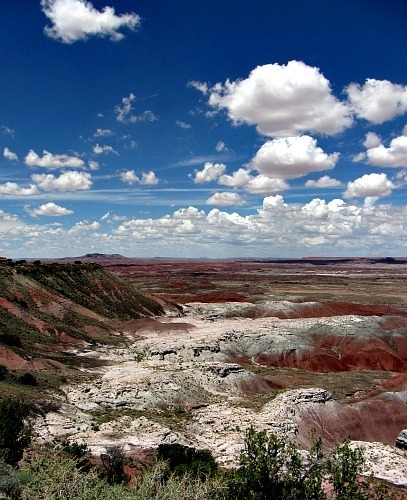 Painted Desert 2 - Carol Cox