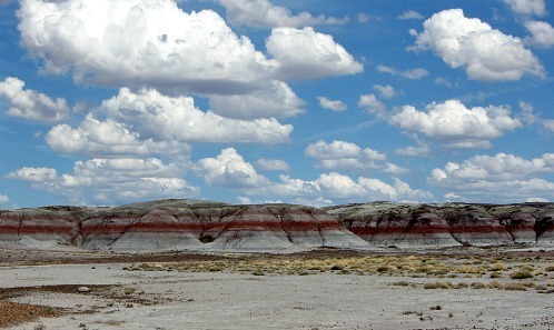 Painted Desert 4 - Carol Cox
