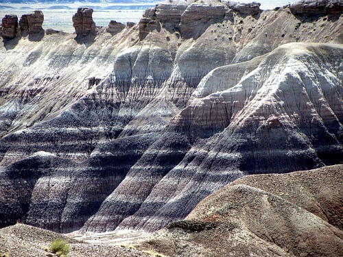 Painted Desert 5 - Carol Cox
