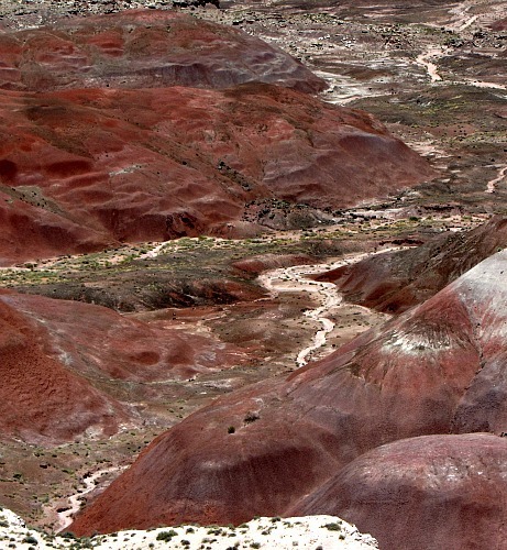 Painted Desert streambed - Carol Cox