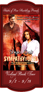 Sympathy for the Devil VBT Banner