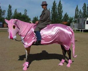 i_4092_stupid-horse-outfits-001