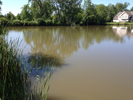 Odell's Pond HWS campus