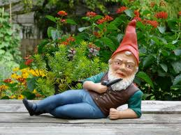 gnome 1