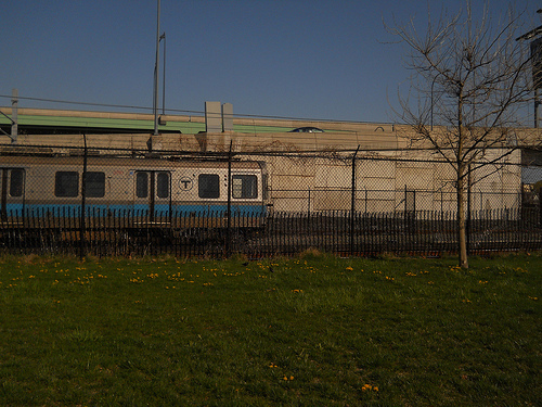 Blue Line train