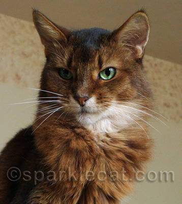 Do I look mean here?
