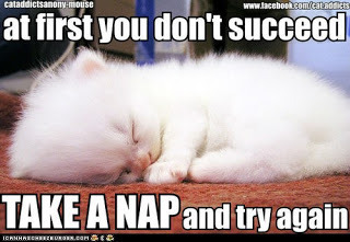 take a nap