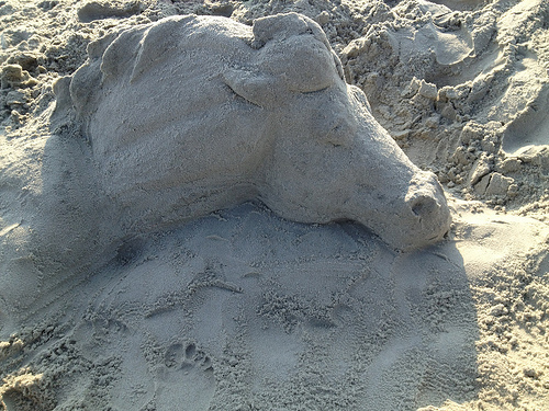 My Sand Horse