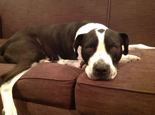 Seamus Wheaton