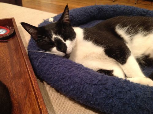 Watson Wheaton