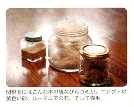 CatFurJars