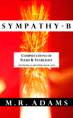 0SympathyBCover