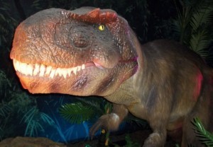 T. rex