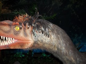 Velociraptor