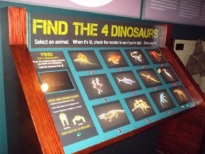 Dinosaurs