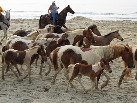 Pony round-up