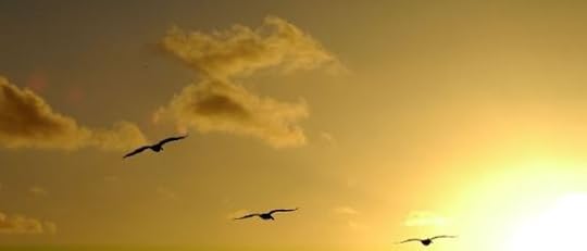 Click to visit the original post