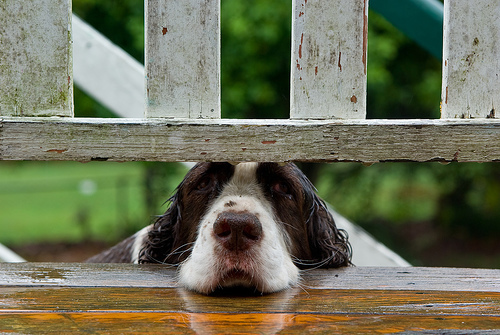 Hoping and waiting by Craig Jewell Photography via Flickr