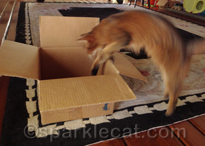 Action shot!