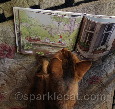 Simon's cat shows other kitties the right ways to enjoy life