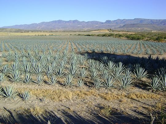 1nuqhpB5FxCS8ogo5YG40I59.jpeg:Amazon:photo