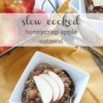 Slow Cooked Honey Crisp Apple Oatmeal from MomAdvice.com.