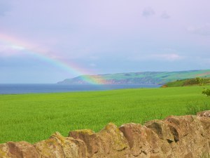 UK 2013 303