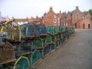 UK 2013 249