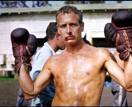 cool hand luke 1967 1