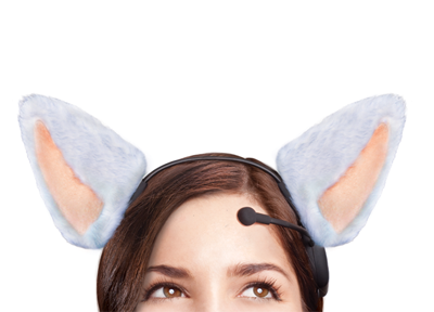 necomimi-mailer_large_large