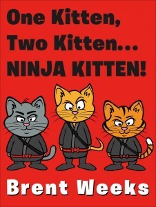 book-ninjakitten