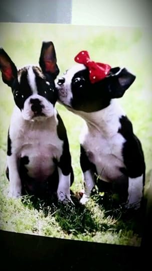 Click to visit the original post