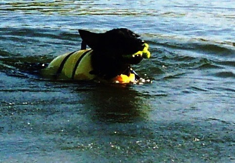 UschiSwim