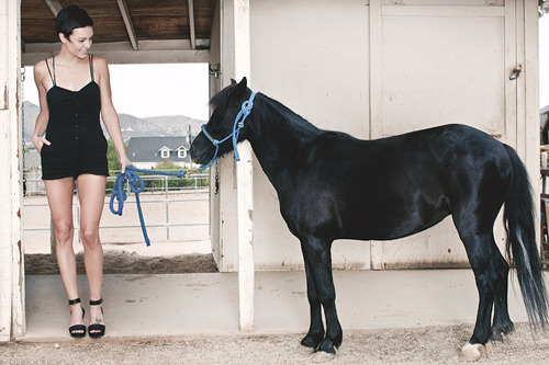 pCQl4rOOhUC3AlbrvgLbLr15.jpeg:Amazon:photo