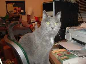 Katyaatwork