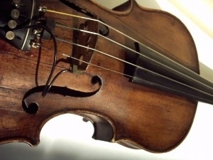 violin